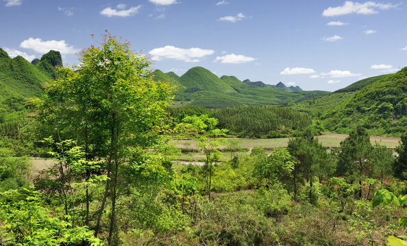 春天春色田园山野