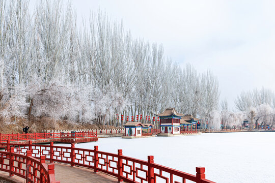 酒泉泉湖公园雾凇雪景