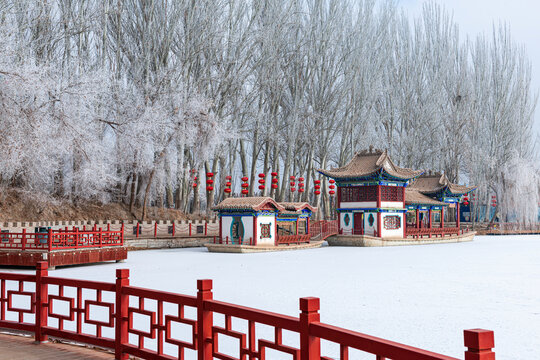 酒泉泉湖公园雾凇雪景