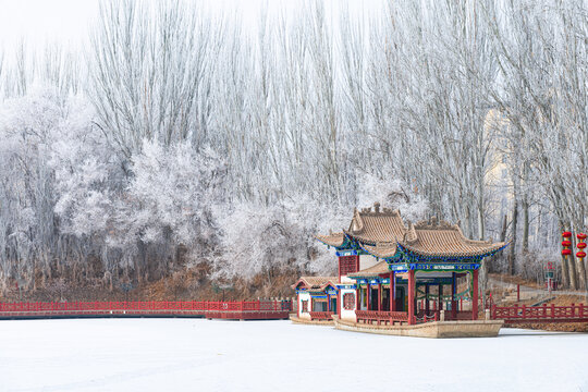 酒泉泉湖公园雾凇雪景