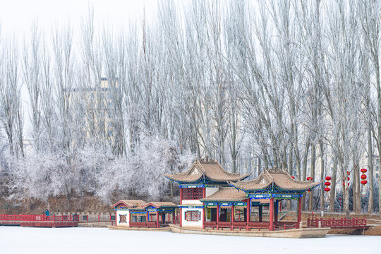 酒泉泉湖公园雾凇雪景