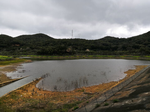 南澳白鹭生态公园