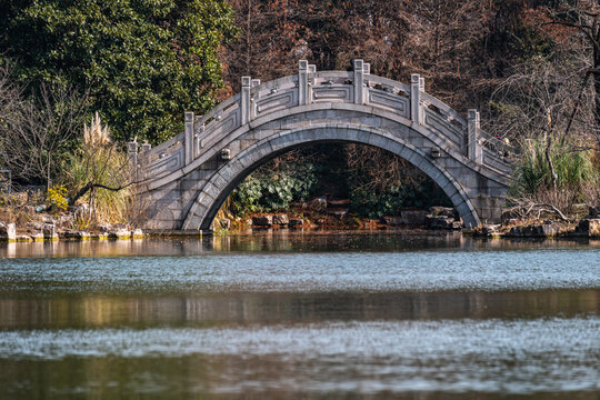 上海植物园冬色景观