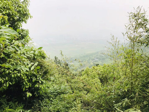 山顶风景