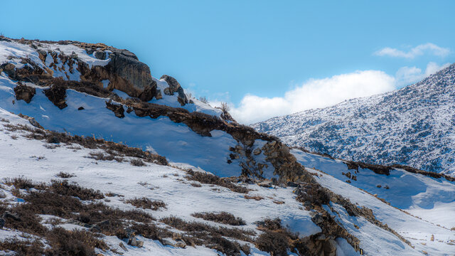 雪原