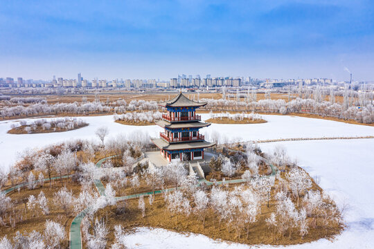 酒泉天马湖湿地公园雾凇雪景