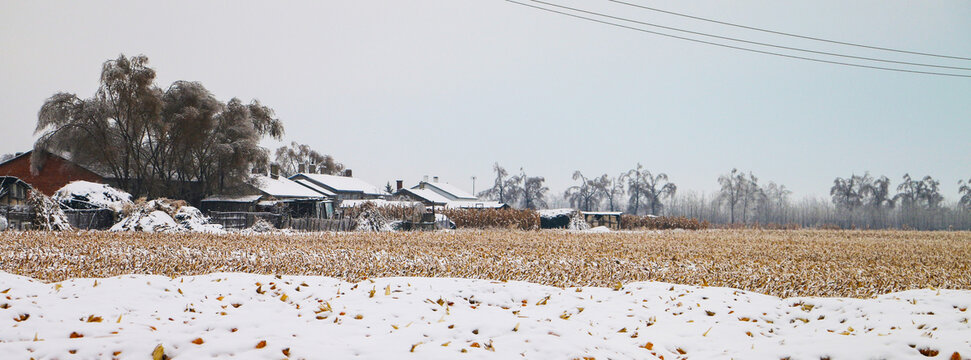 冬天的乡村