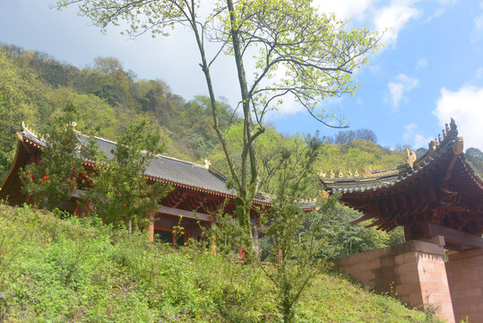 四川蒙顶山露寺