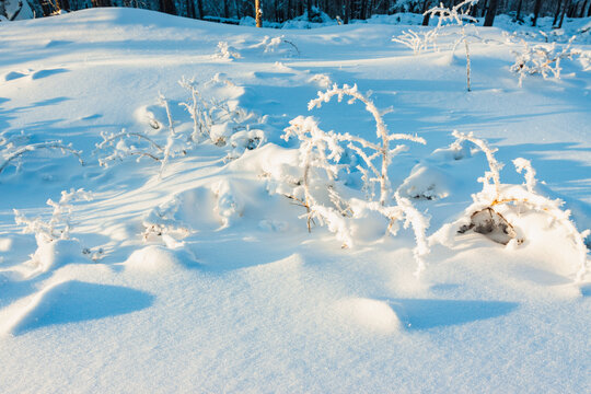 大雪积雪雪景