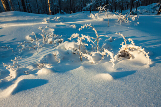 雪地清晨景观