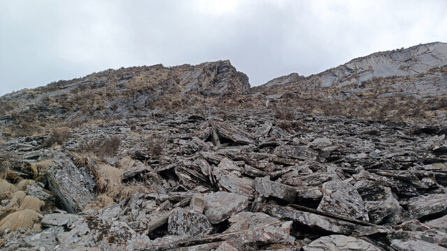 高山乱石