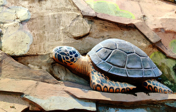 海龟石雕
