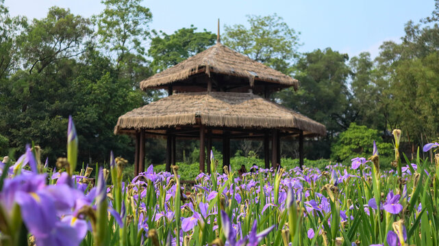 南宁药用植物园