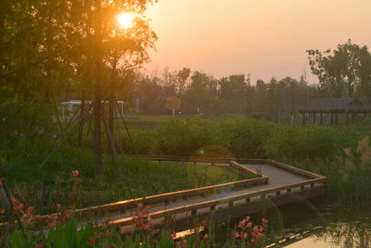 成都东安湖公园傍晚夕阳