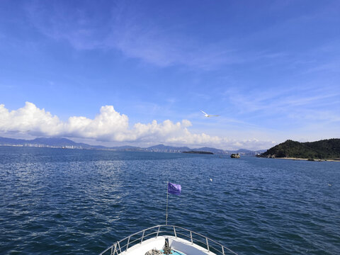 碧海蓝天游轮海鸥