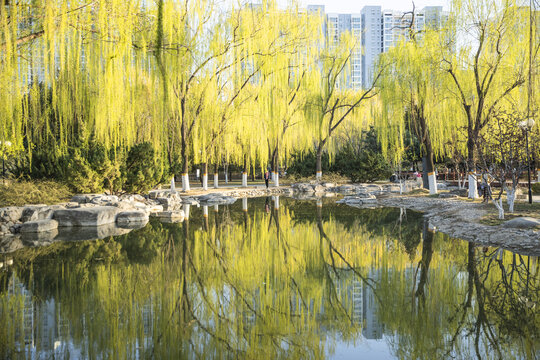 北京国际雕塑公园