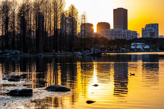 夕阳下的上海世纪公园