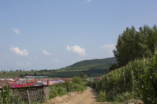 玉米田山坡蓝天村庄