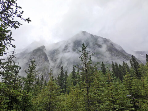 四姑娘山