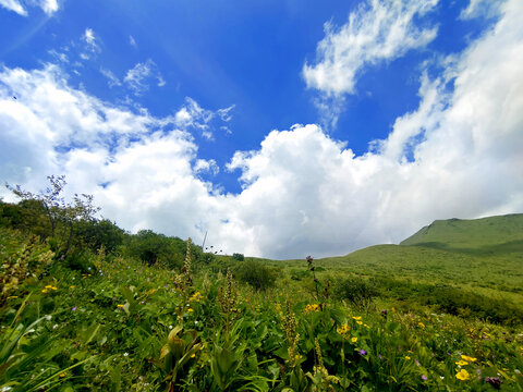 高原草地