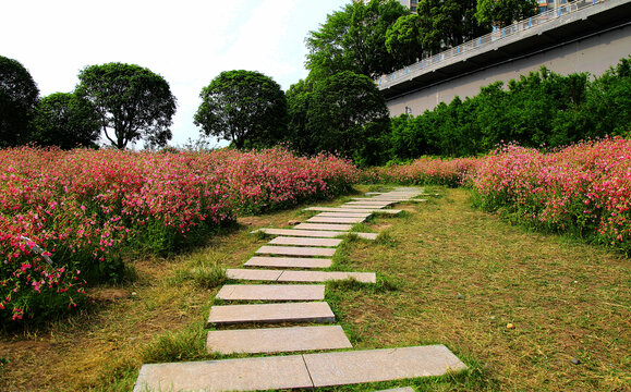 城市园林