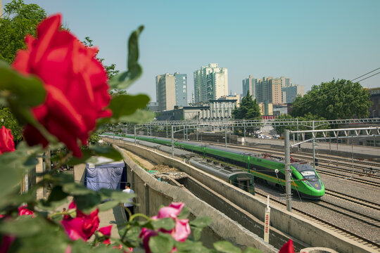 绿装复兴号旅客列车