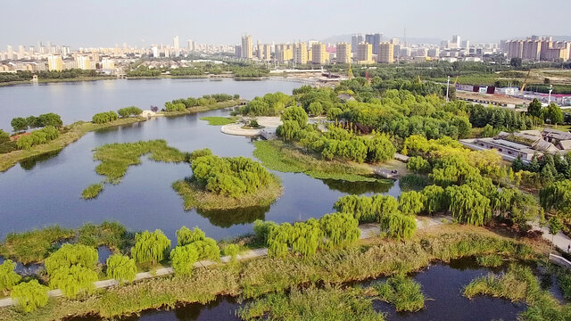 莱州河套湿地公园