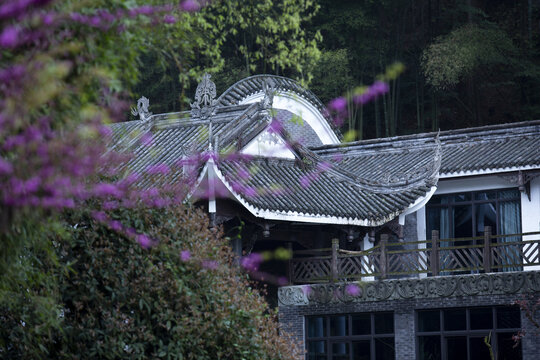 春花庭院