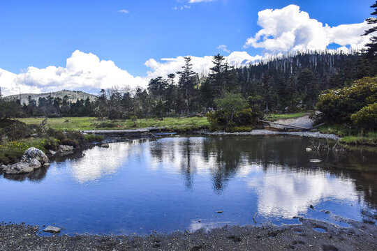 云南丽江碧沽天池风景