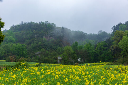枞阳浮山地质公园春季外景风光