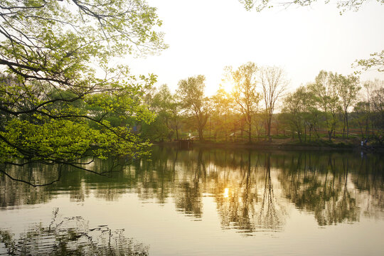 夕阳湖景