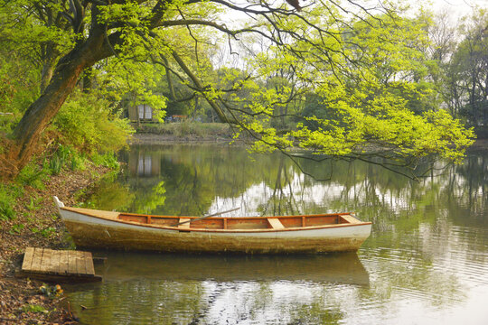 湖泊木船