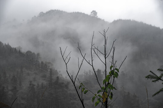 烟墨山水意境