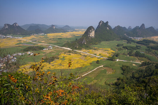 田园乡村山