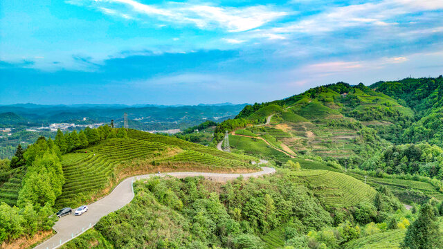 茶山茶园山顶公路