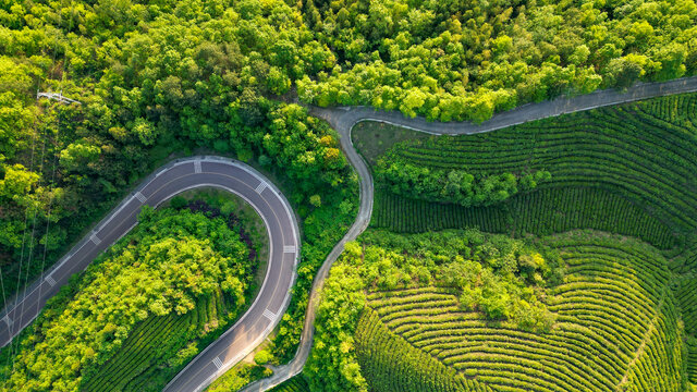 盘山公路