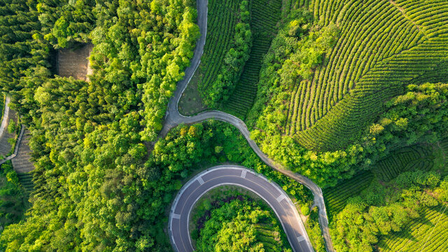 山地公路