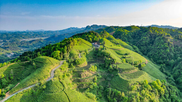 茶山梯田