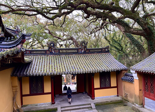 普陀山法雨寺