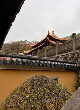 普陀山法雨寺