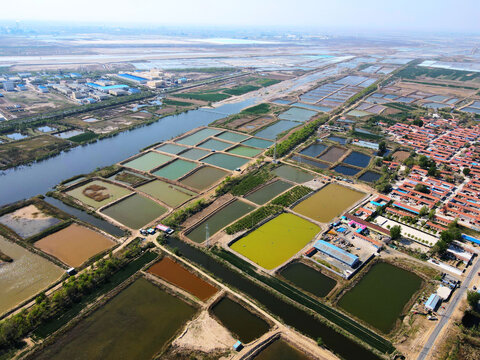 青岛市平度市大苗家村