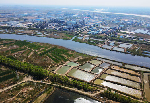 平度市大苗家村