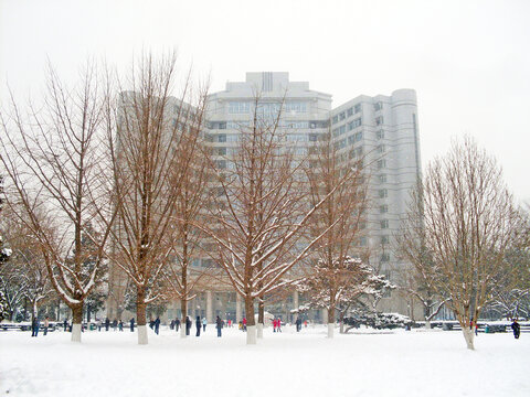 北京理工大学校园雪景