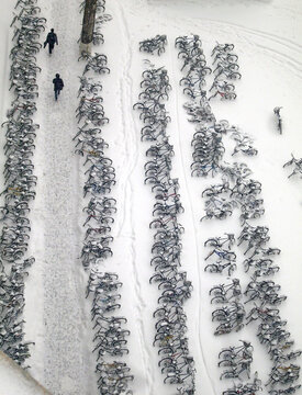 北京理工大学校园雪中铁驴