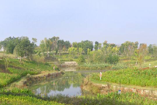 成都东安湖公园西江河水景