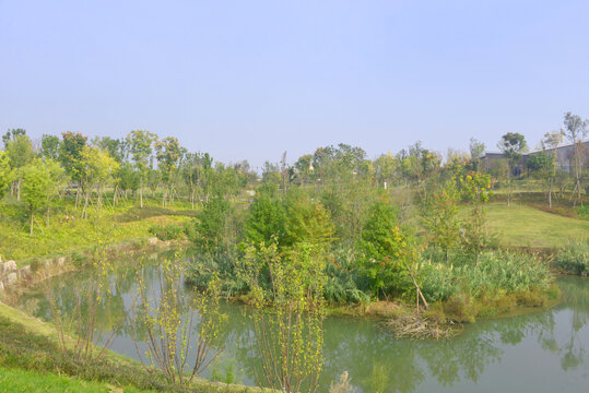 东安湖公园西江河园林水景