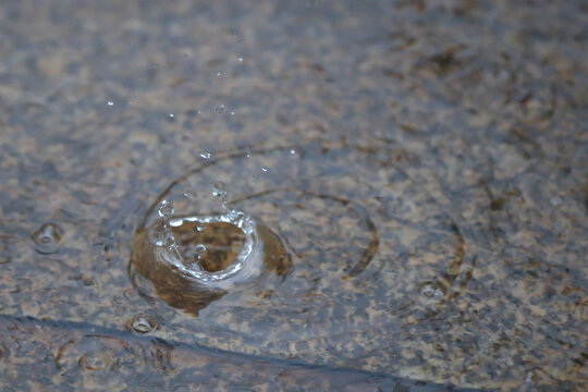 春雨绵绵水滴凝固