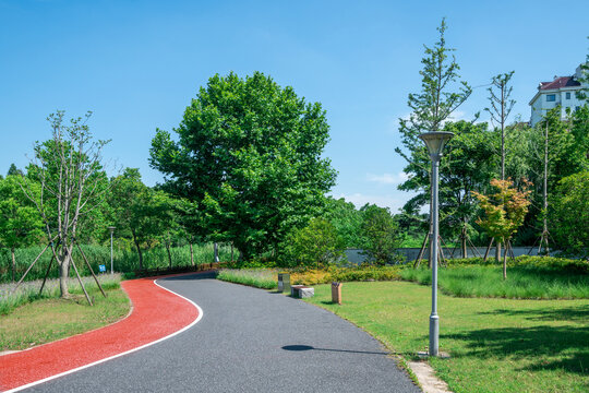 城市绿地步道