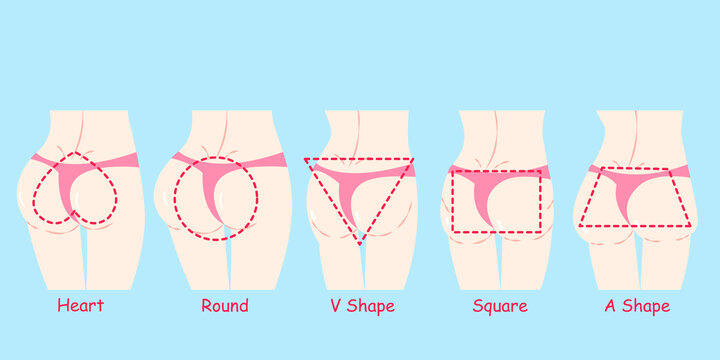 穿着丁字裤 不同形状的臀部插图
