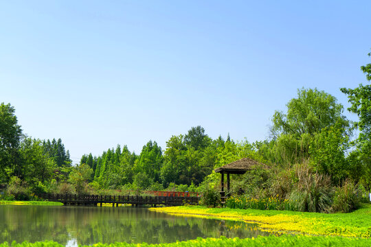 公园草坪河边池塘草地